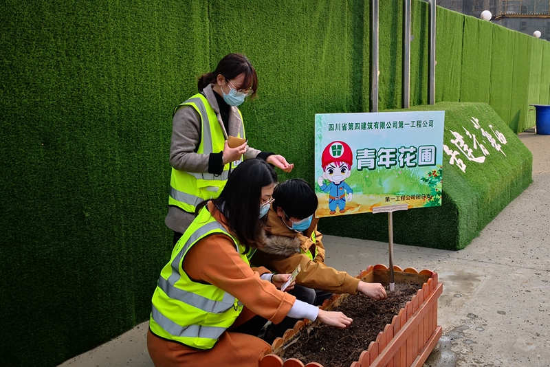 第一工程公司團(tuán)總支開展“共克時(shí)艱 心向花開”種植比賽_副本
